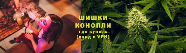 прущие грибы Лихославль