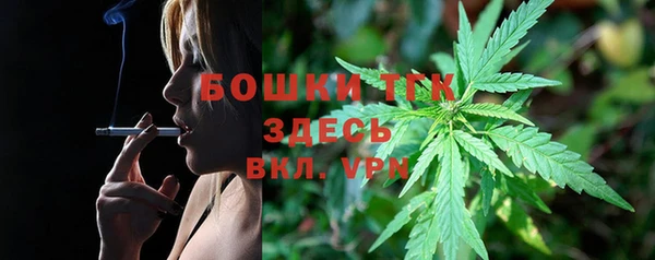 прущие грибы Лихославль